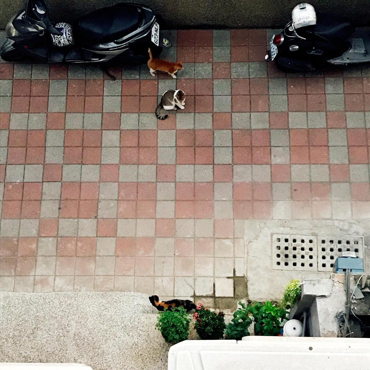 A Fat At Home Tainan Esterno foto