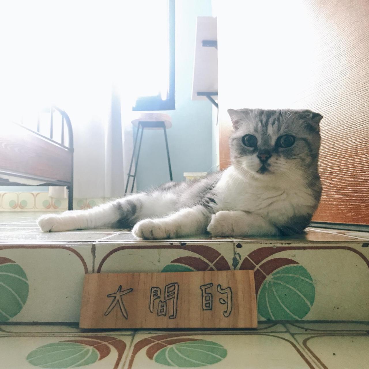 A Fat At Home Tainan Esterno foto